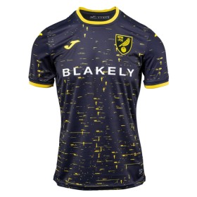 Norwich City Bortedrakt 2024-25 Kortermet